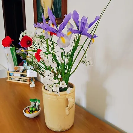 Trulli Delle Rose Martina Franca